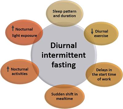 Recent Evidence on the Impact of Ramadan Diurnal Intermittent Fasting, Mealtime, and Circadian Rhythm on Cardiometabolic Risk: A Review